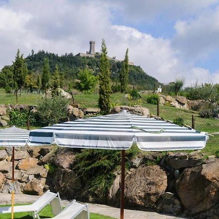 Girasole Cottage Overlooking The Orcia Valley In Tuscany 拉迪科法尼 外观 照片