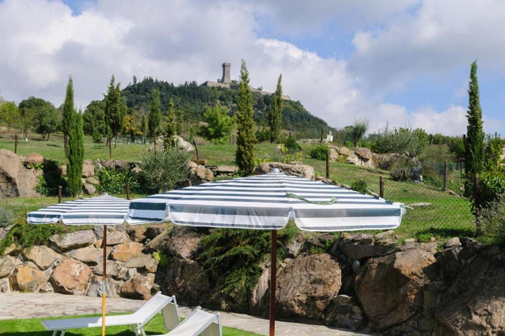 Girasole Cottage Overlooking The Orcia Valley In Tuscany 拉迪科法尼 外观 照片