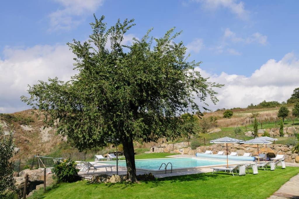 Girasole Cottage Overlooking The Orcia Valley In Tuscany 拉迪科法尼 外观 照片
