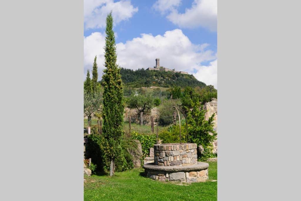 Girasole Cottage Overlooking The Orcia Valley In Tuscany 拉迪科法尼 外观 照片